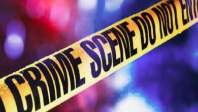 The Husband Murdered His Wife