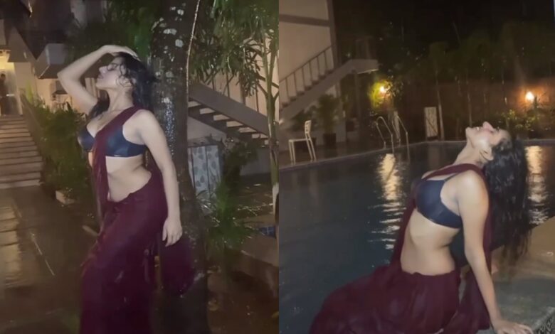 Desi Bhabhi Sexy Video 