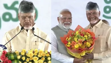 Chandrababu Naidu Swearing-in Ceremony