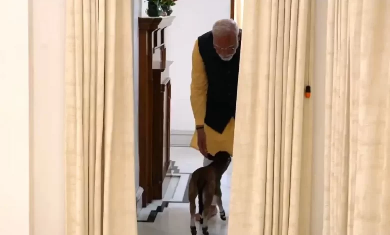 PM Modi Video