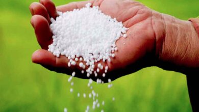 Jabalpur Latest News Today