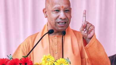 Yogi Cabinet Meeting