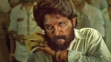 Pushpa 2 Box Office Collection