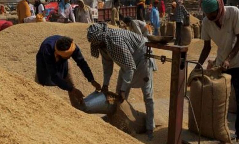 MP Wheat Procurement 2026