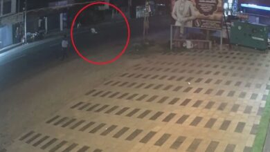 Kerala Accident News